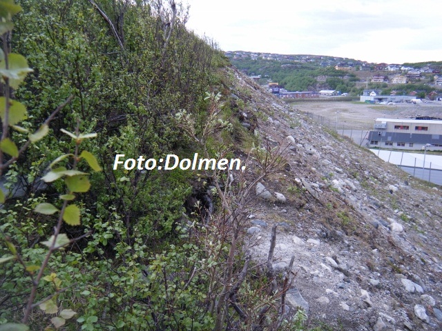 007 (640x480).jpg