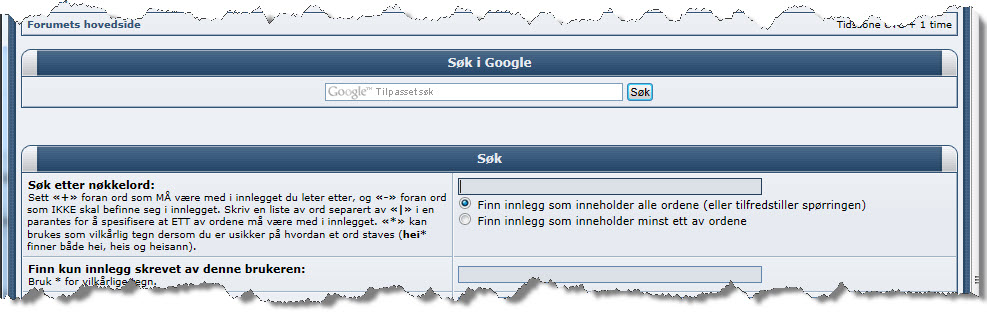 google_søk.jpg
