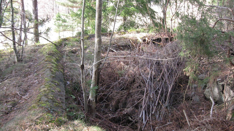 Horneskilen (3).JPG