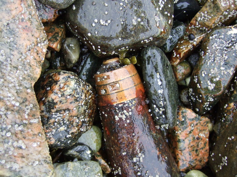 Bjarkøy150810 093.jpg
