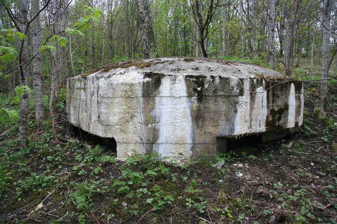 Lade, Ringve gaard, MG-bunker 2 - 2_resize.JPG