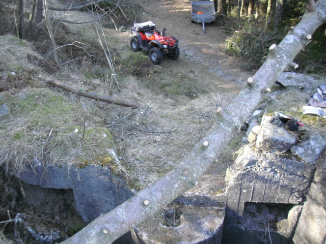 Fjernet også trestammen som ses på bildet .