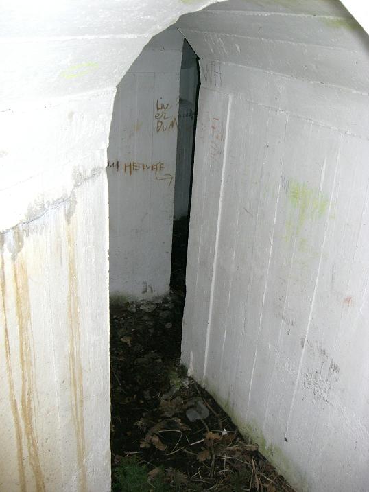 39.JPG