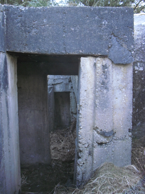 CIMG6414.JPG