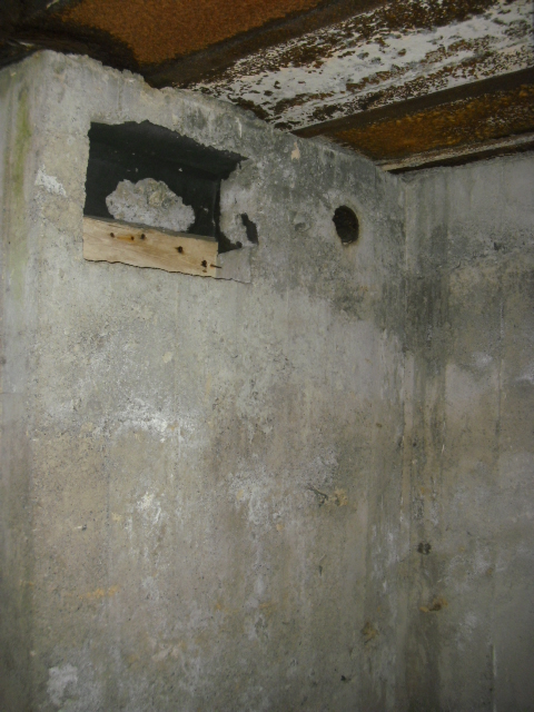 CIMG6417.JPG