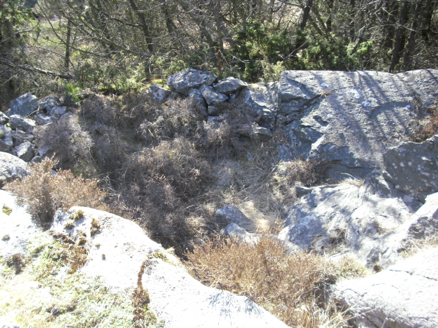 CIMG6445.JPG
