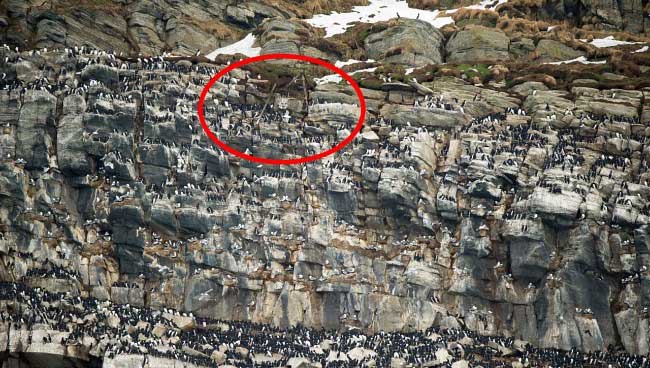 Foto: Knut-Sverre Horn