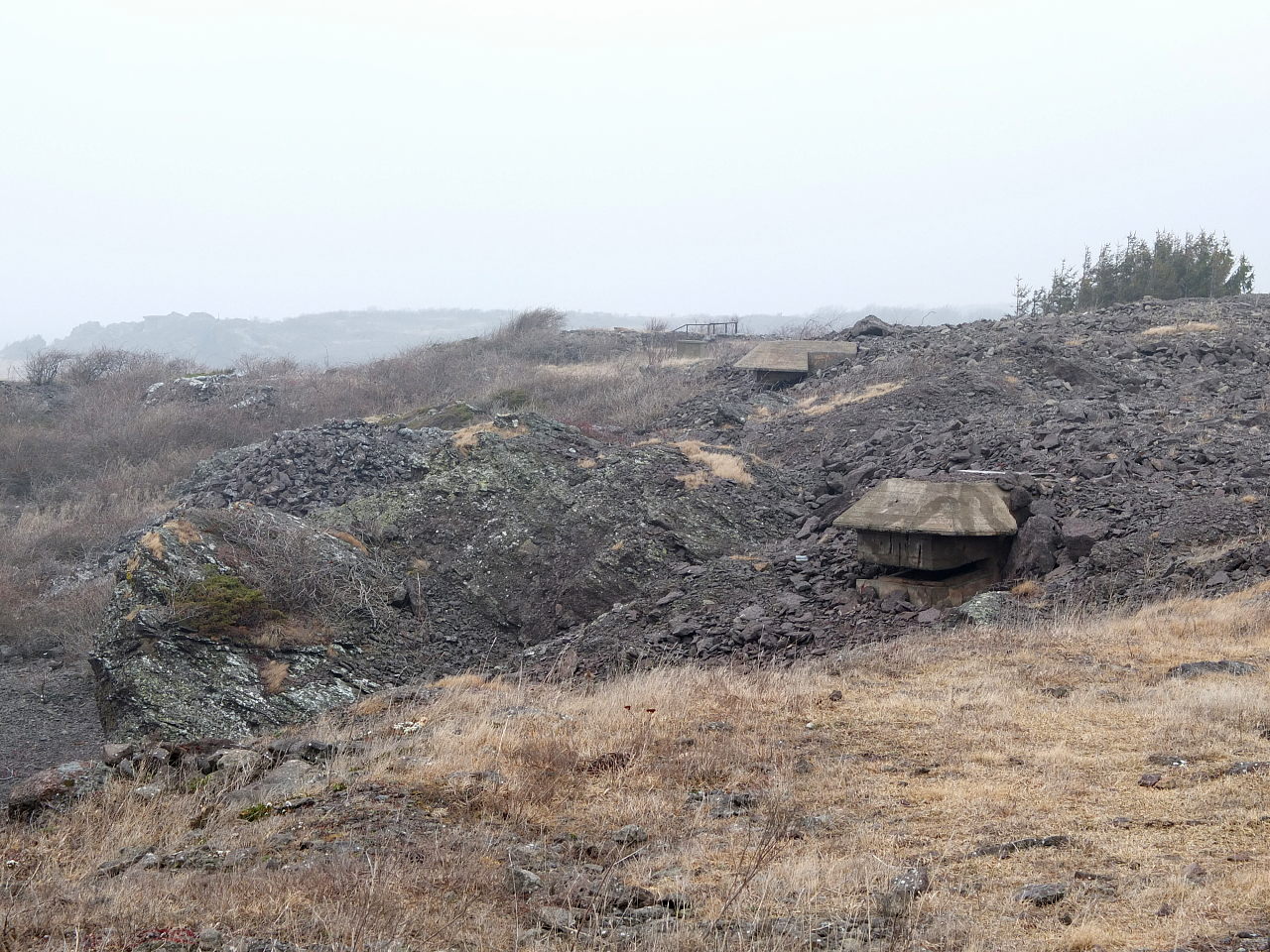 Rauoy_stridsanlegg.jpg