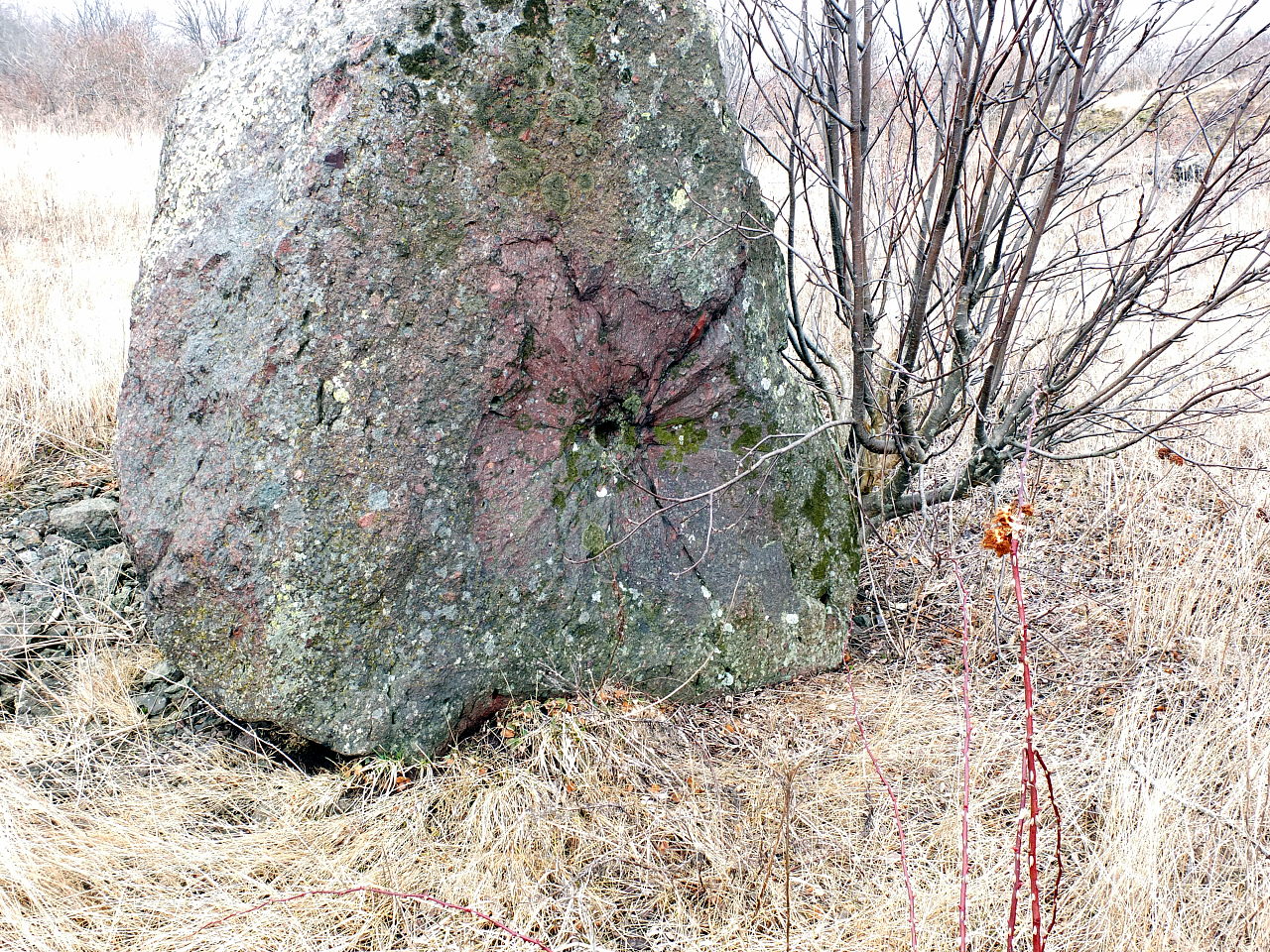 Rauoy_ikke_akkurat_ag3.jpg