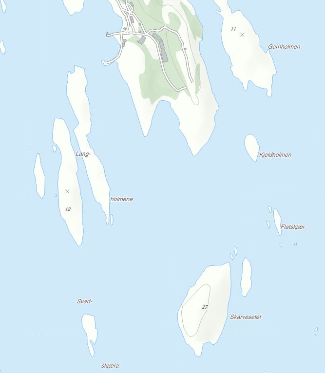 skarvesetet.JPG