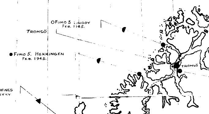 lingoy2.jpg