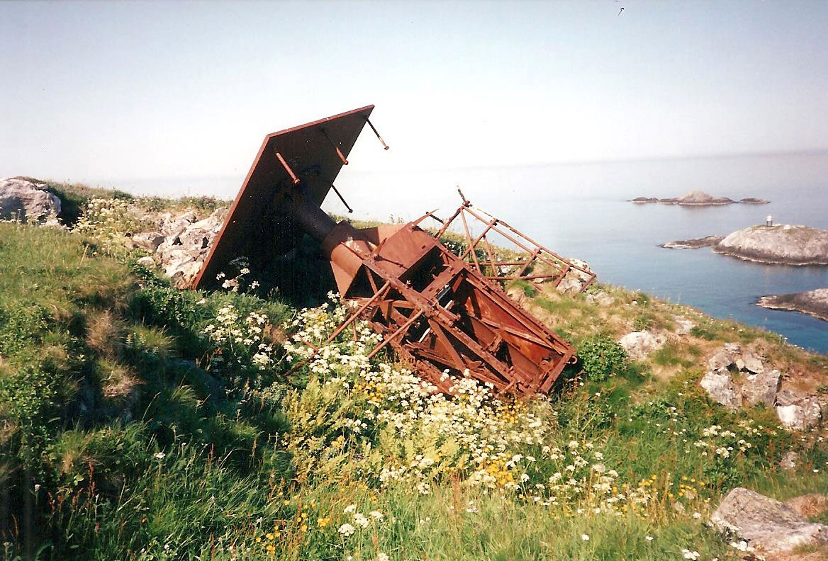 lungoybilde.jpg