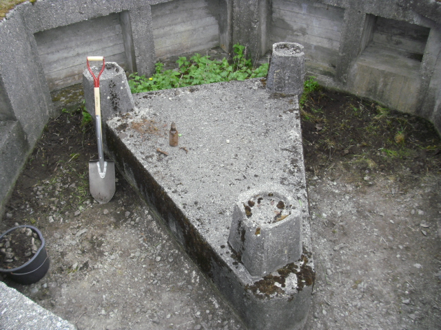 CIMG7049.JPG