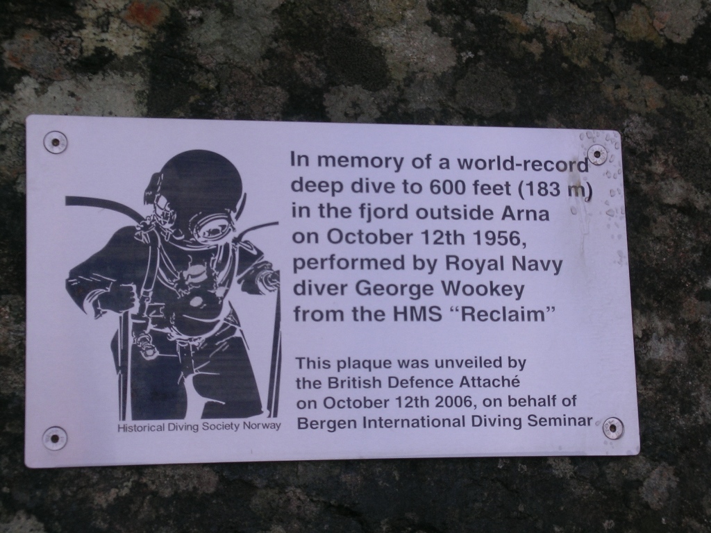 DSCN8081.jpg