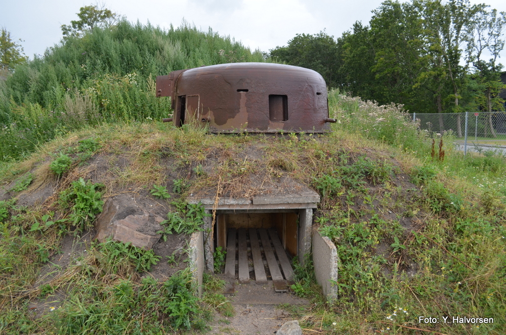 DSC_0034.JPG