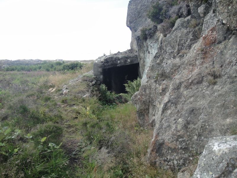 Bunker 3 (800x600).jpg