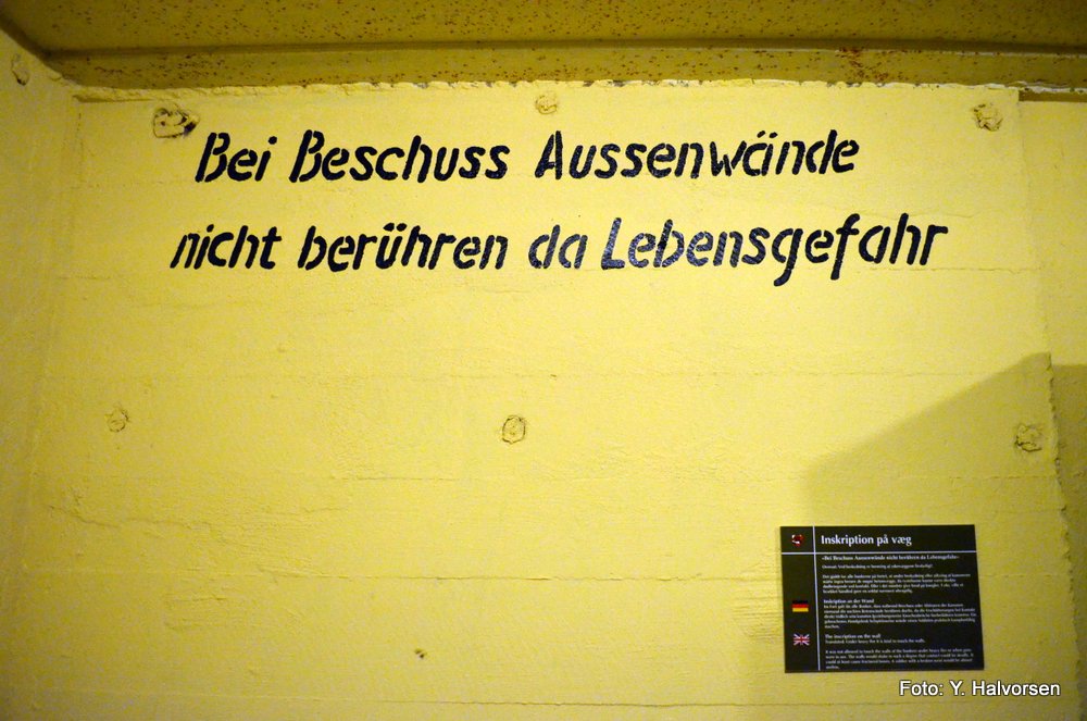 DSC_0165.JPG