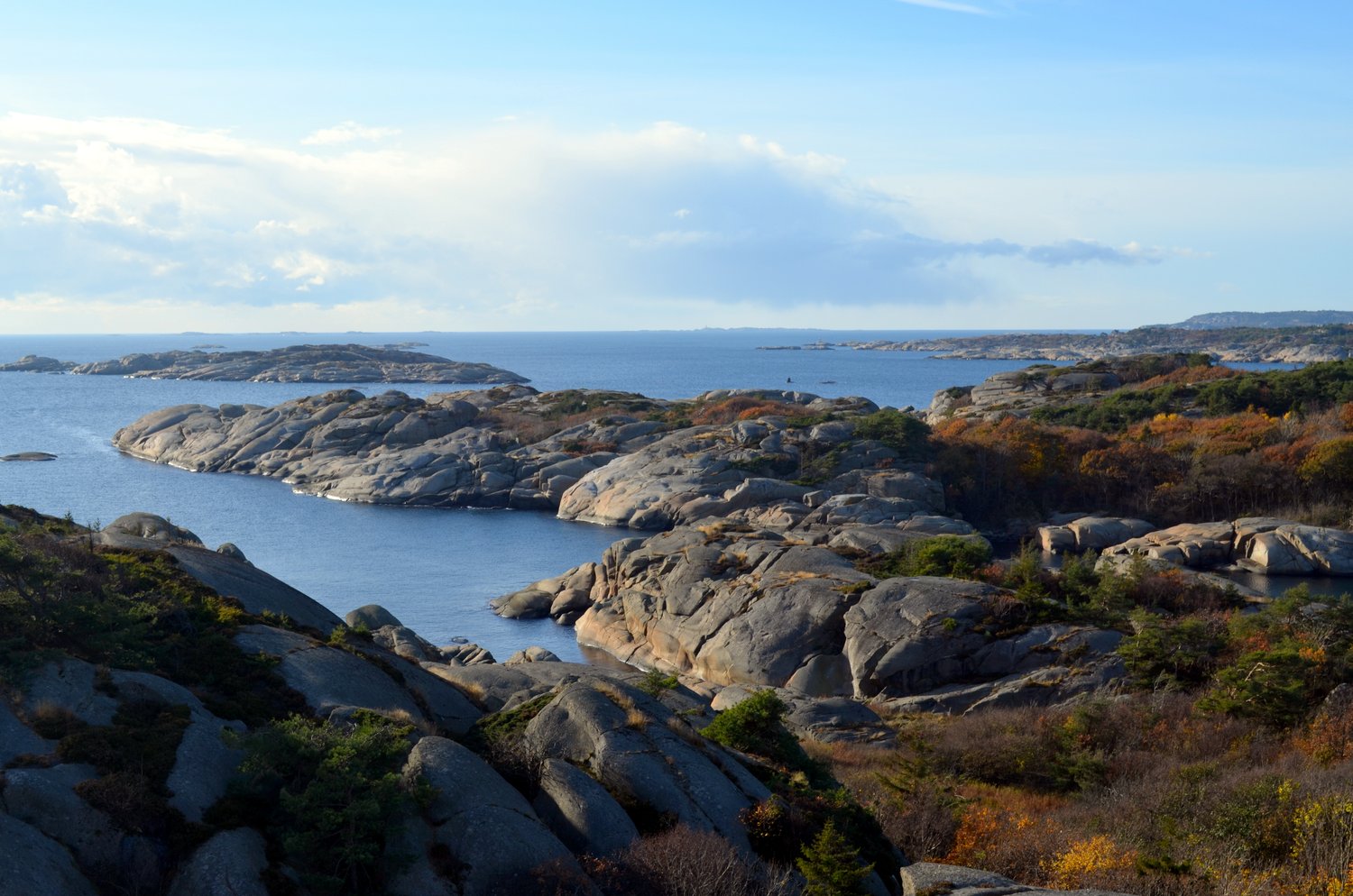 DSC_0061.JPG