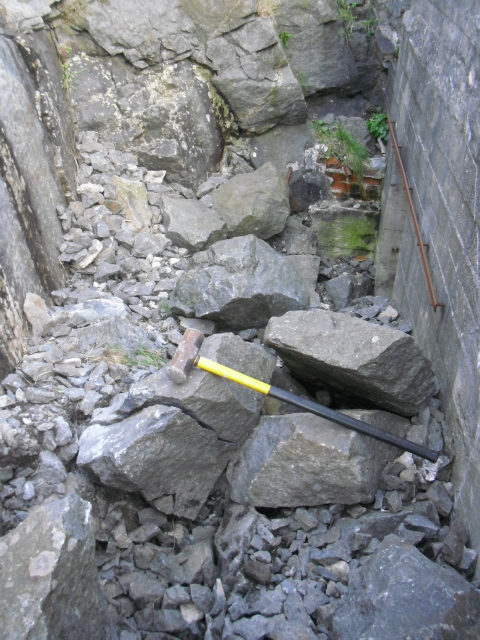 CIMG7699.JPG