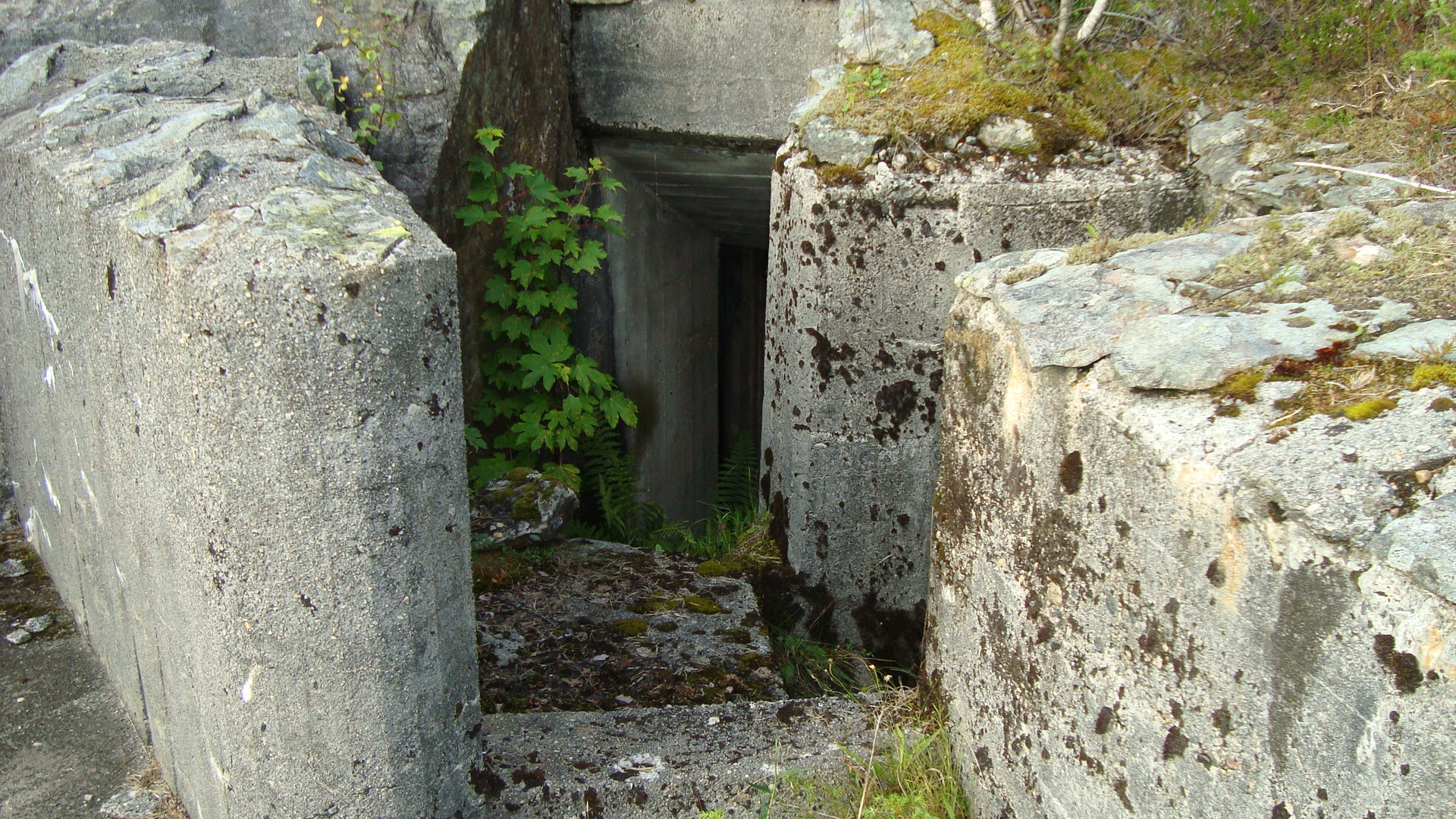 Inngang til bunker bak kanonstilling