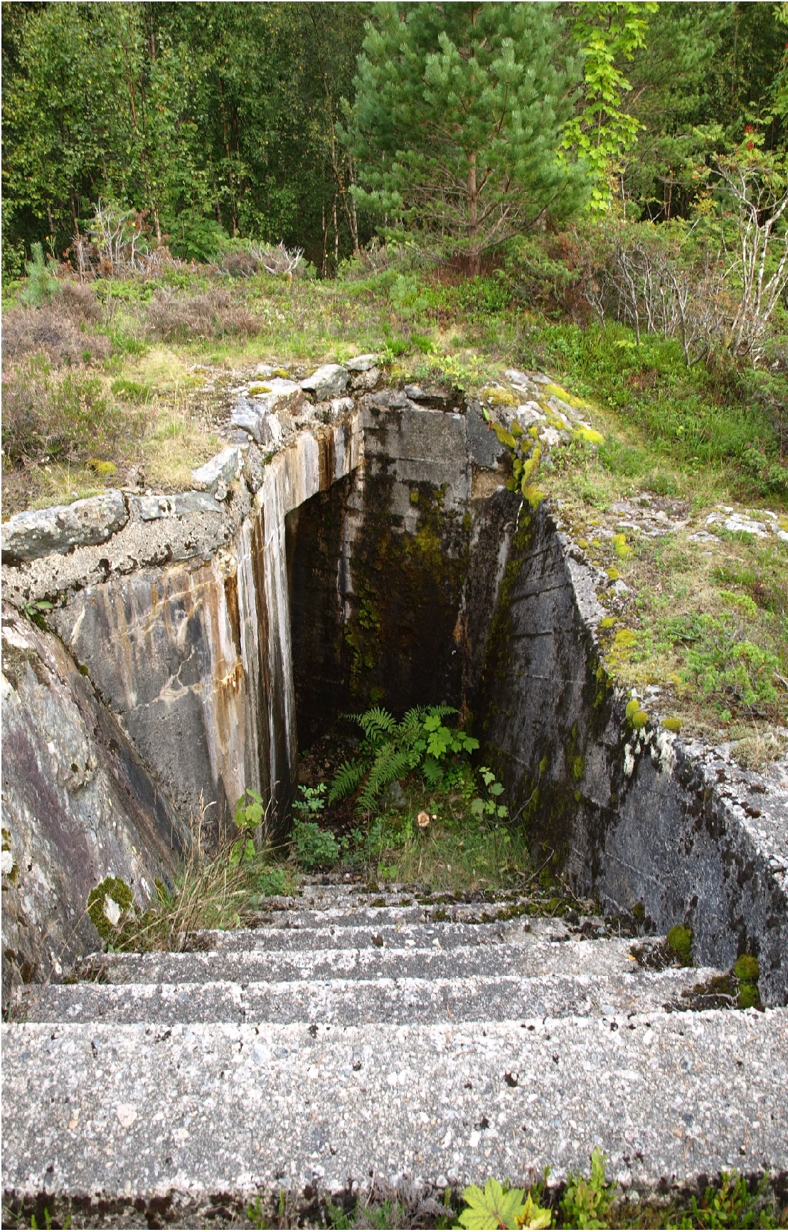 Bunker bak kanonstilling