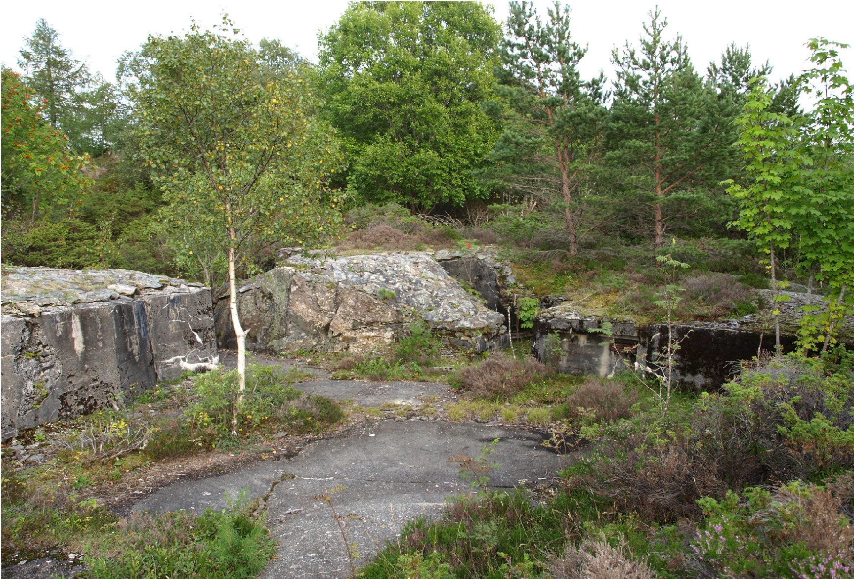 Kanonstilling sett forfra. Luftvernkanon er 100m fram på høgre side. Ned til venstre er vegen til andre kanonstillingar, er også ein bunker bak på vensre side ned trappa