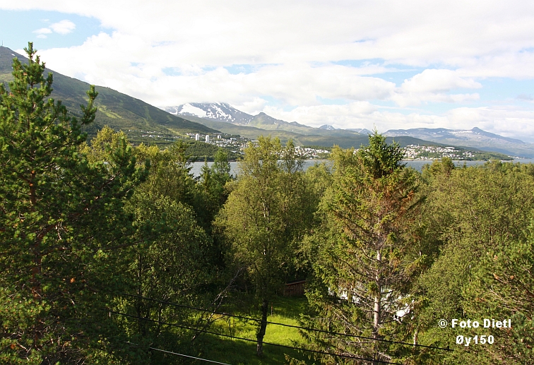 Utsikt mot Narvik