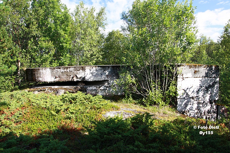 Øy155A.JPG