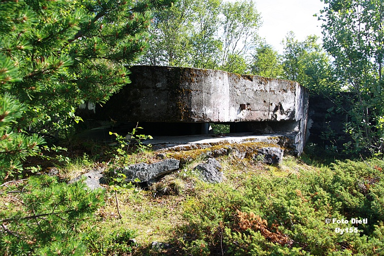 Øy155C.JPG