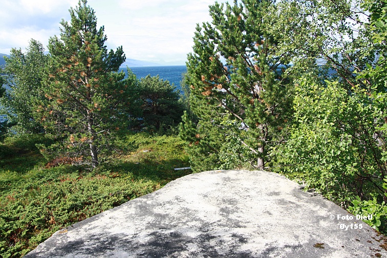 Øy155K.JPG