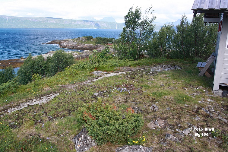 Øy156A.JPG
