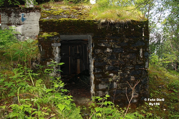 Øy156D.JPG