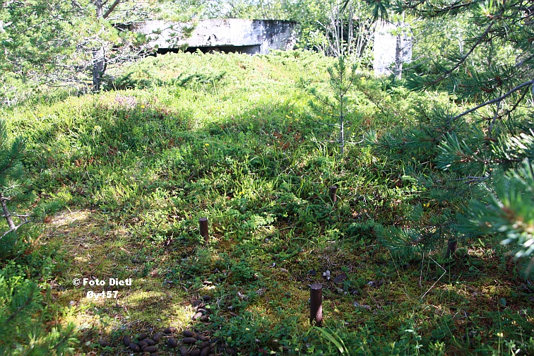 Øy157B.JPG