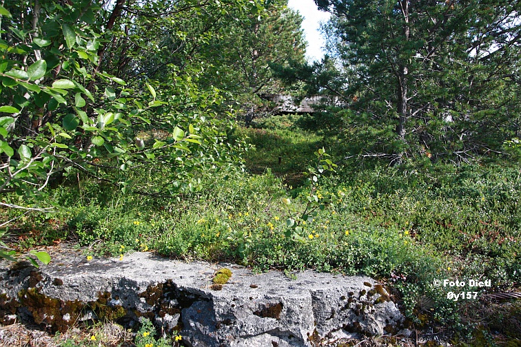 Øy157C.JPG