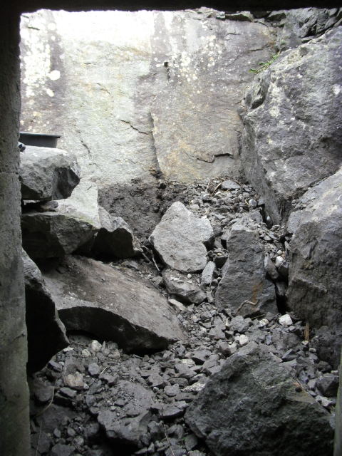 CIMG7793.JPG