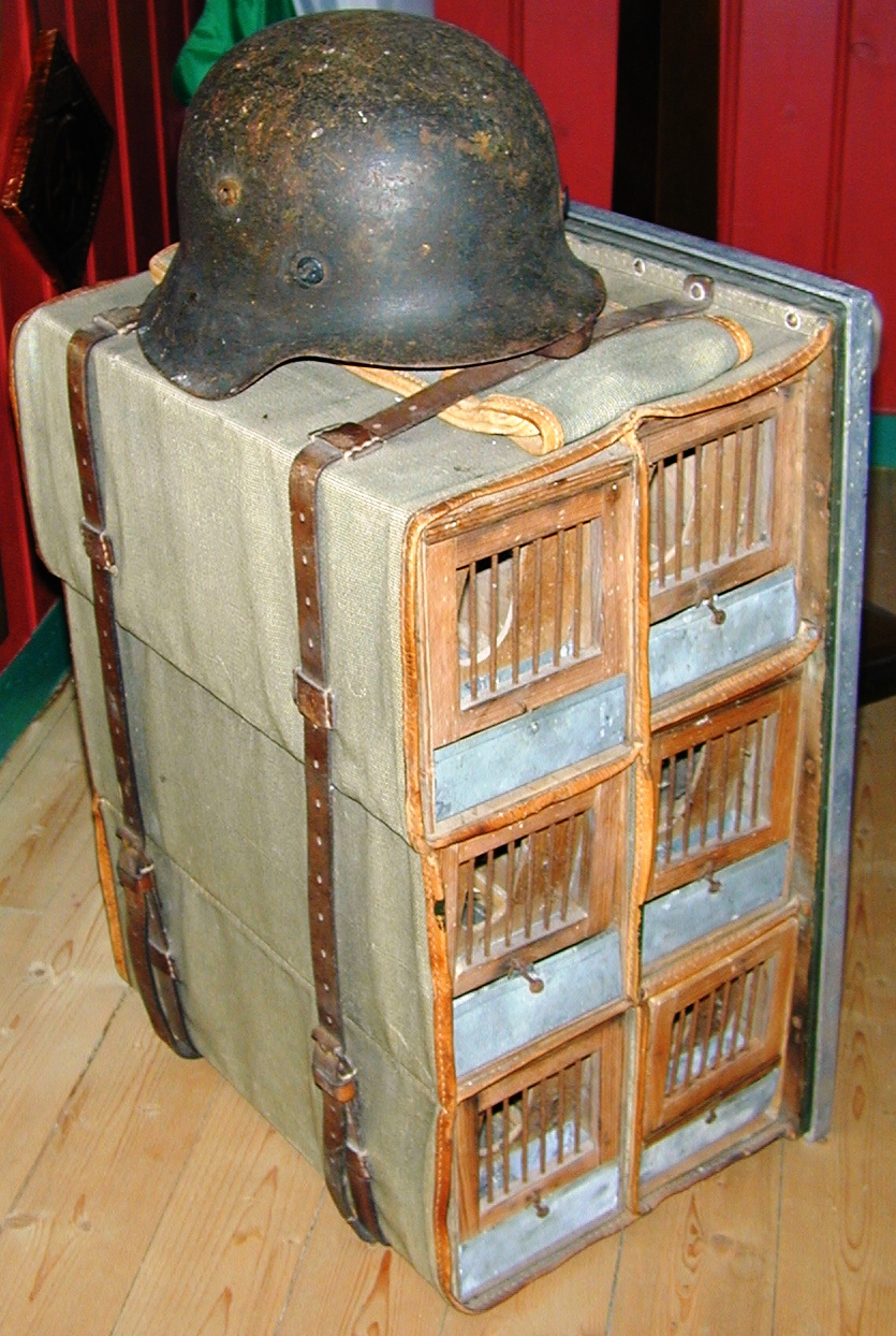 DSCN2229a.JPG