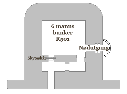 r501.jpg