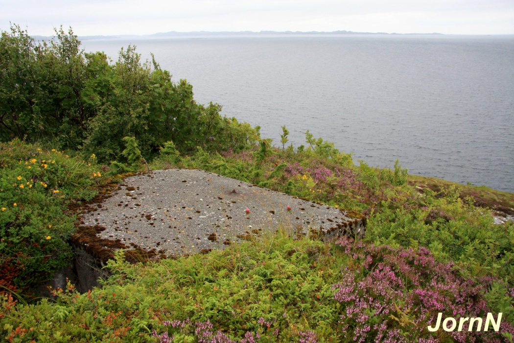 NÖ Observasjonsbunker utsyn.jpg
