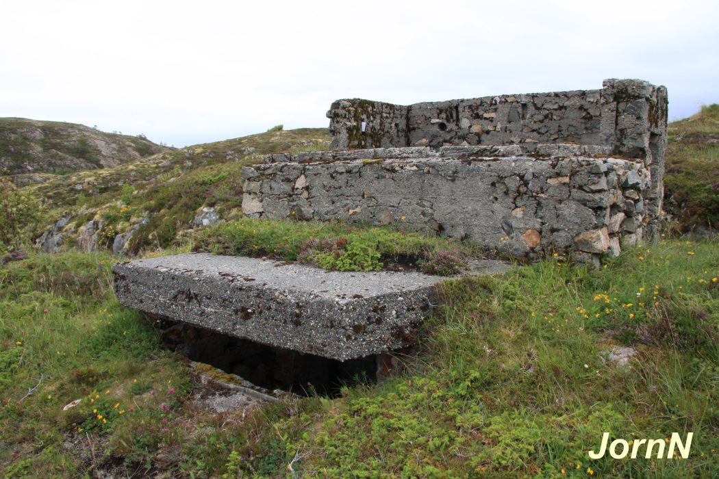 Ildledningsbunker topp.jpg