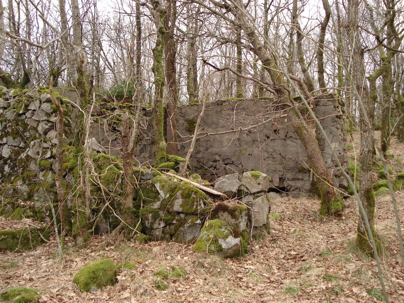 Garasje.jpg