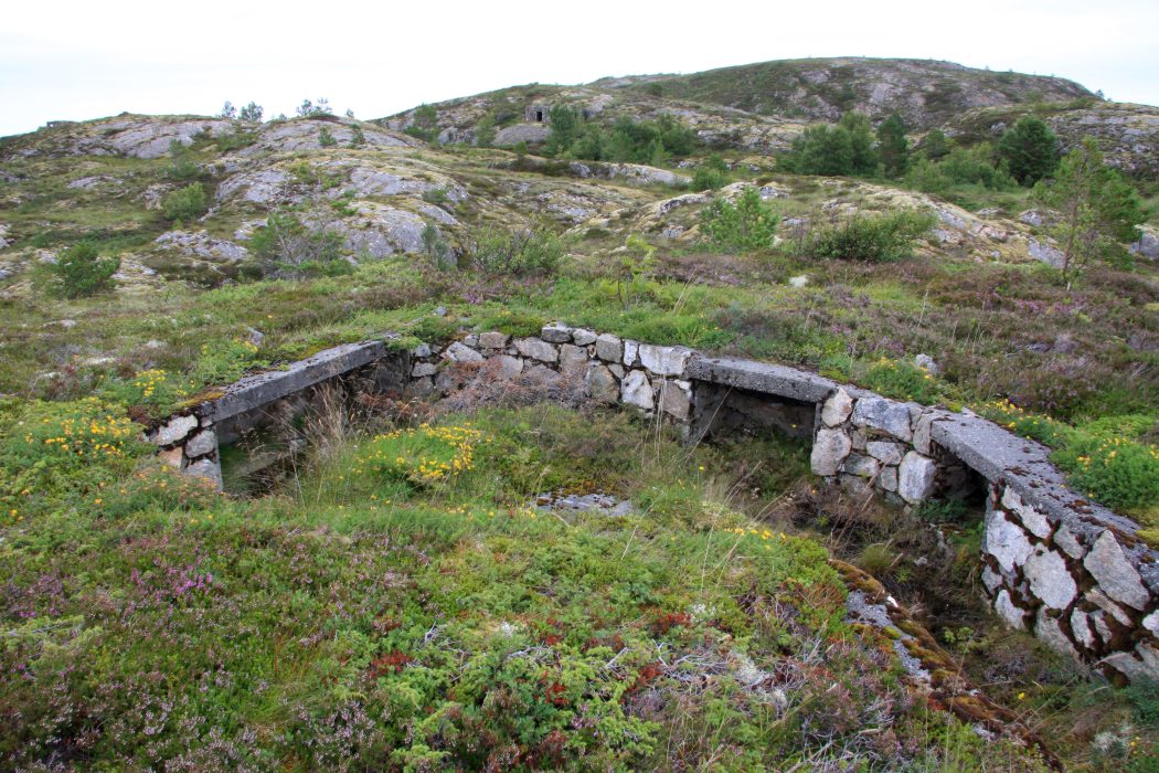 Flak sentralt m Flak nord i bakgrunnen .jpg