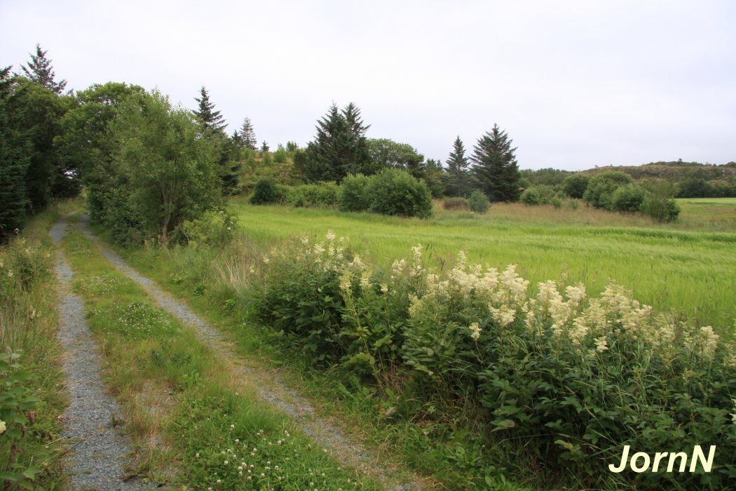 Mot sørlige stillinger.jpg