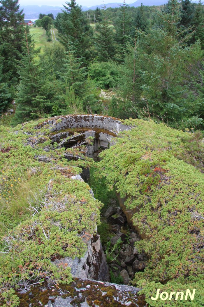 MG-stilling söröst 2.jpg