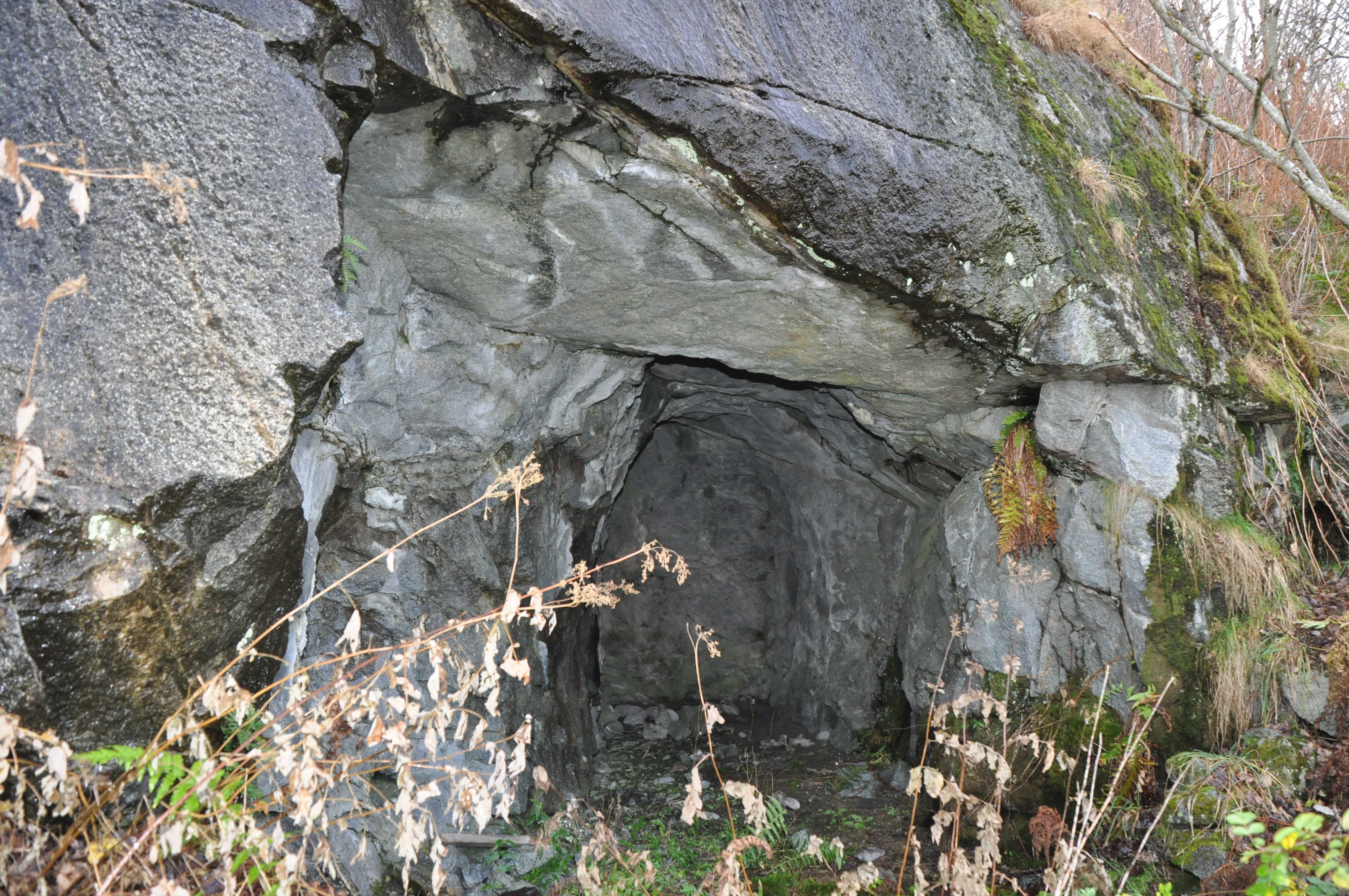 Østlig hule