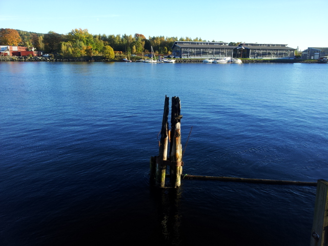 20131012_165344.jpg