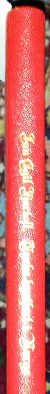 tkin_skinn_2.jpg