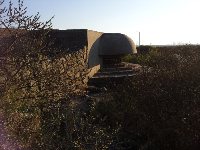 20130428_195353.jpg