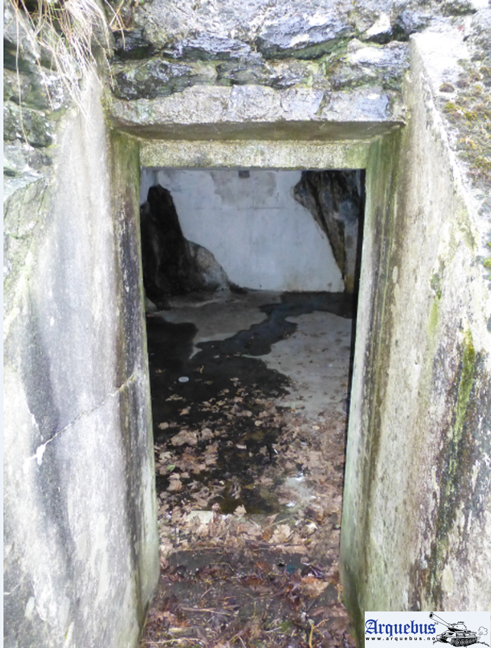 Bunker Salhusvegen 27c - 4.png