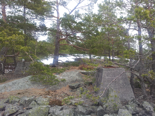 20130406_131427.jpg