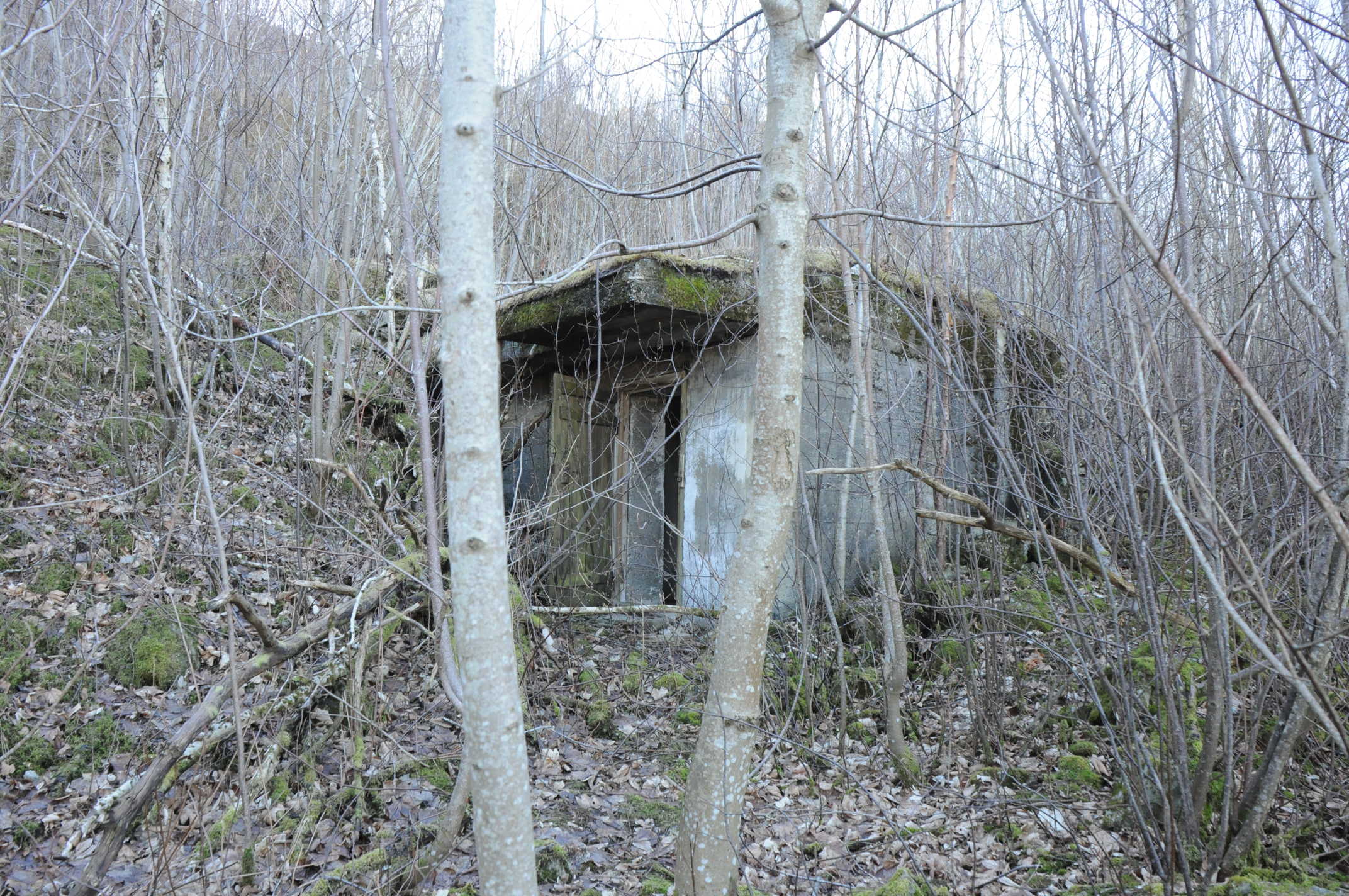 vest for Skrivargården